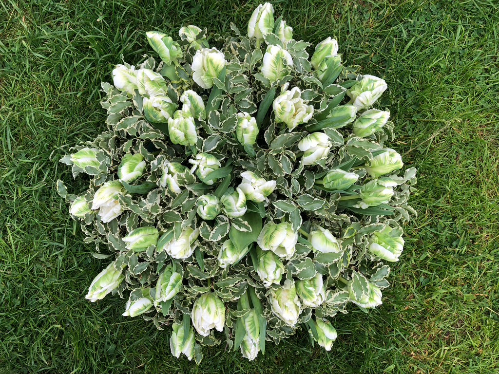 Posy image 12