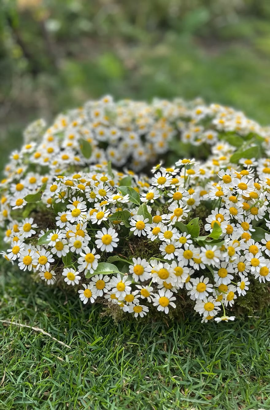 Wreath
