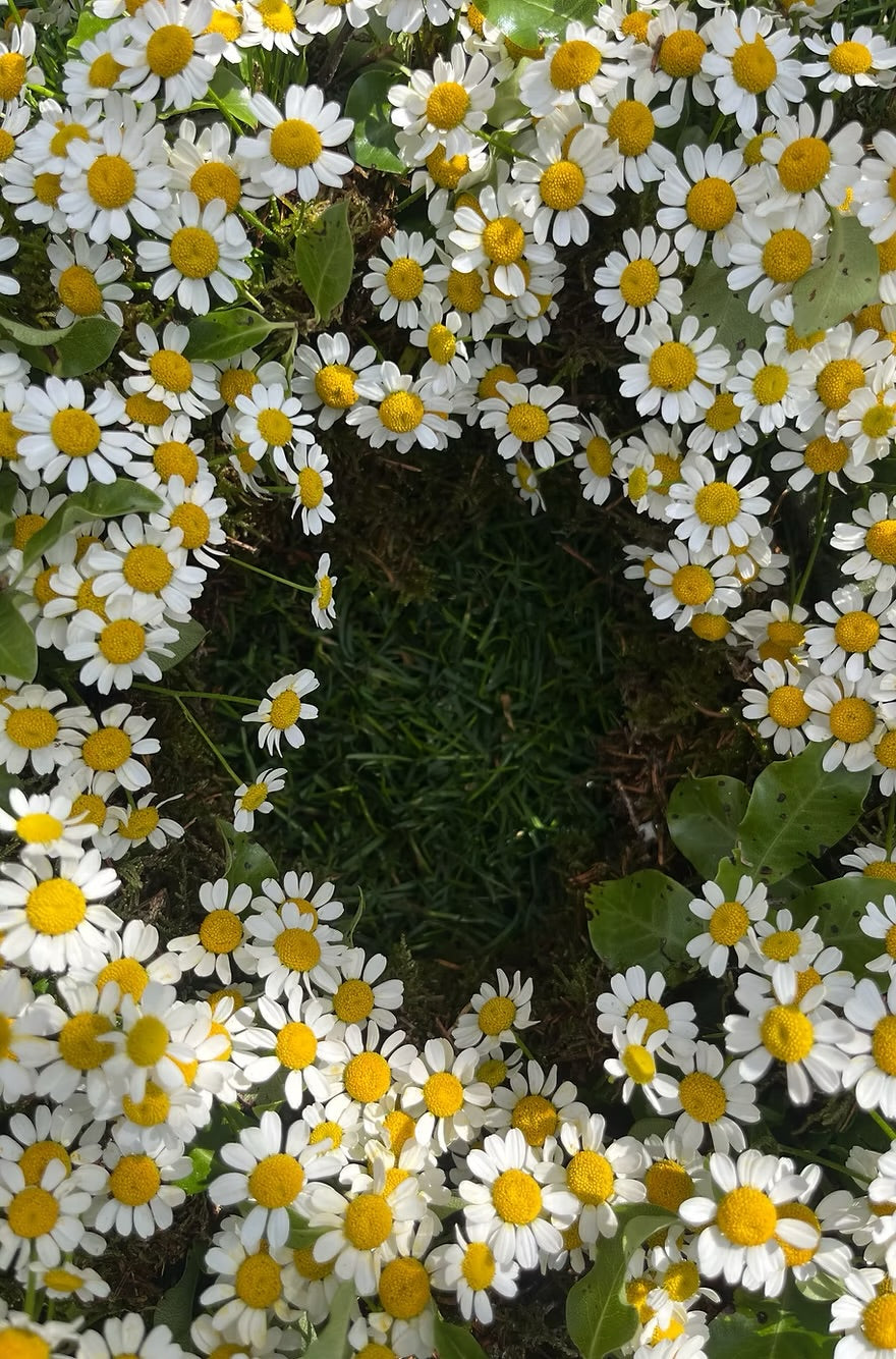 Wreath