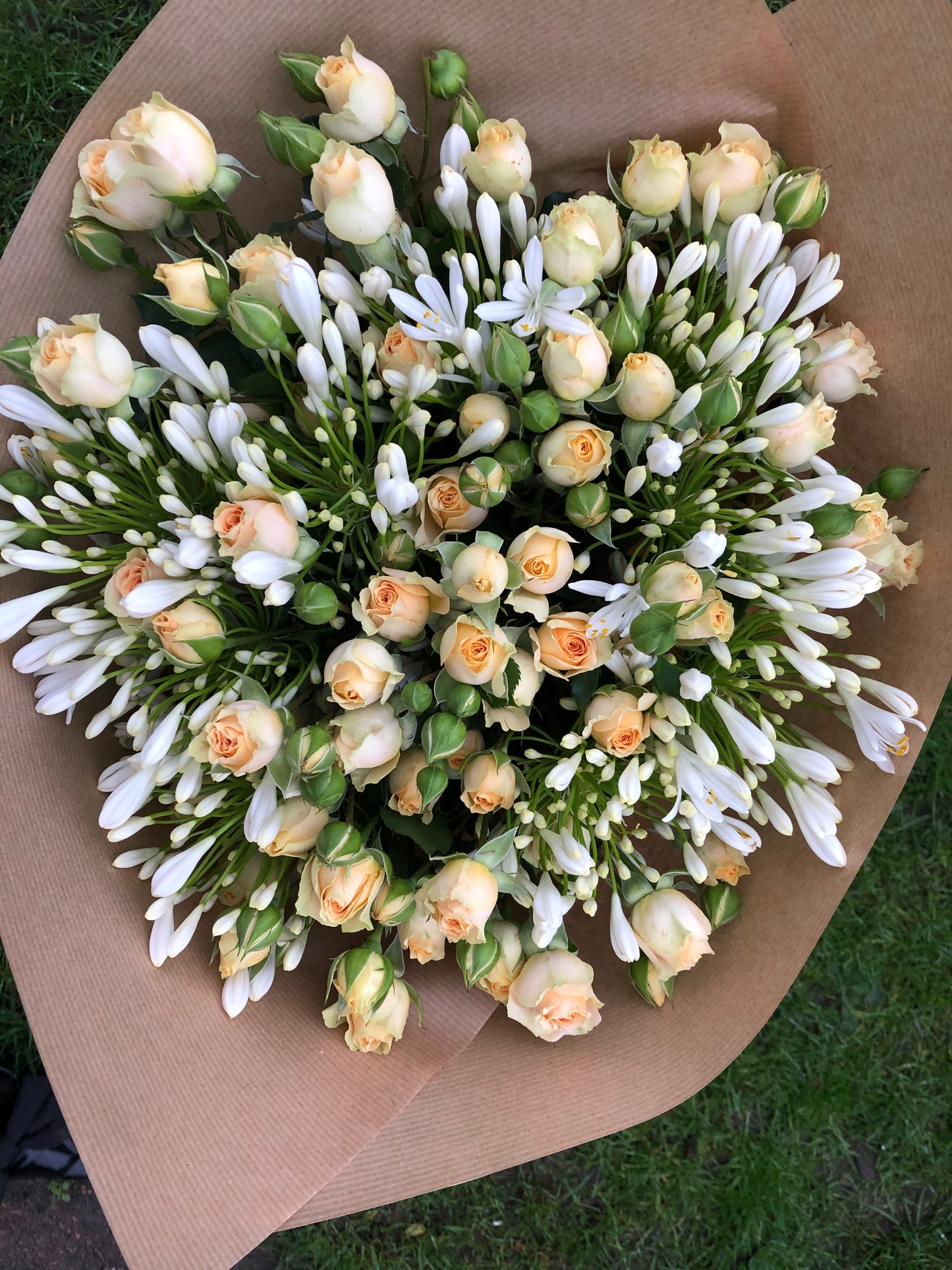 Rose & Agapanthus Hand-Tied Bouquet