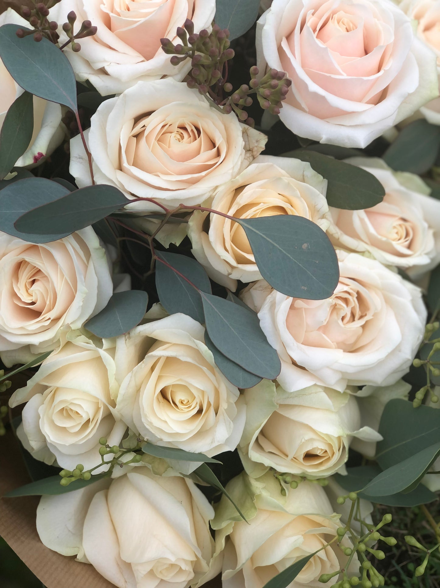 Dorchester Roses & Eucalyptus Hand-Tied Bouquet