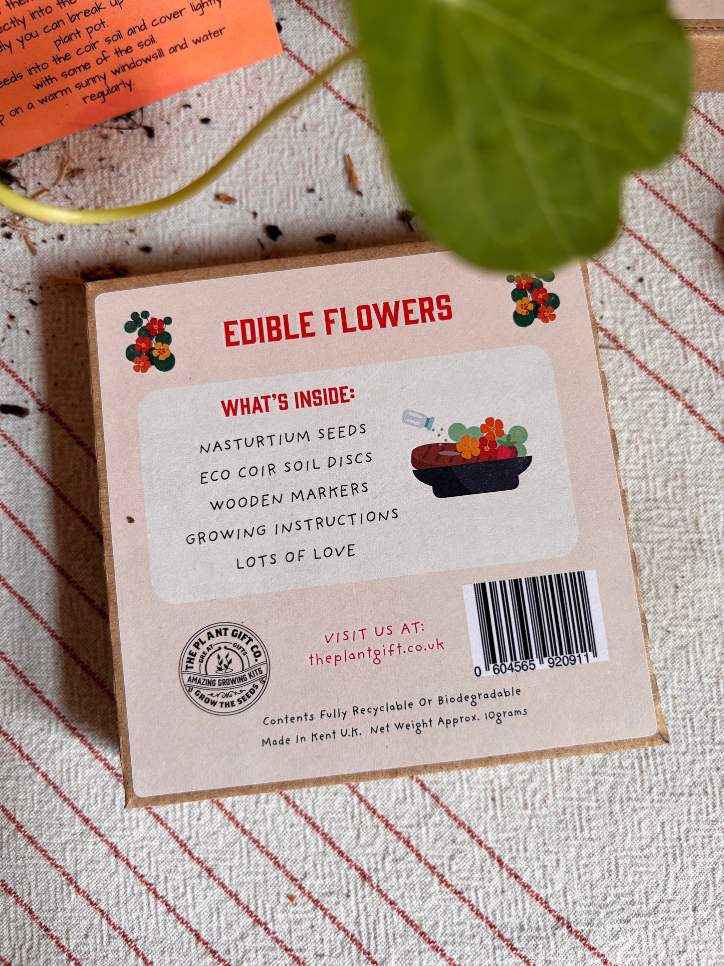 Edible Flowers Eco Grow Kit