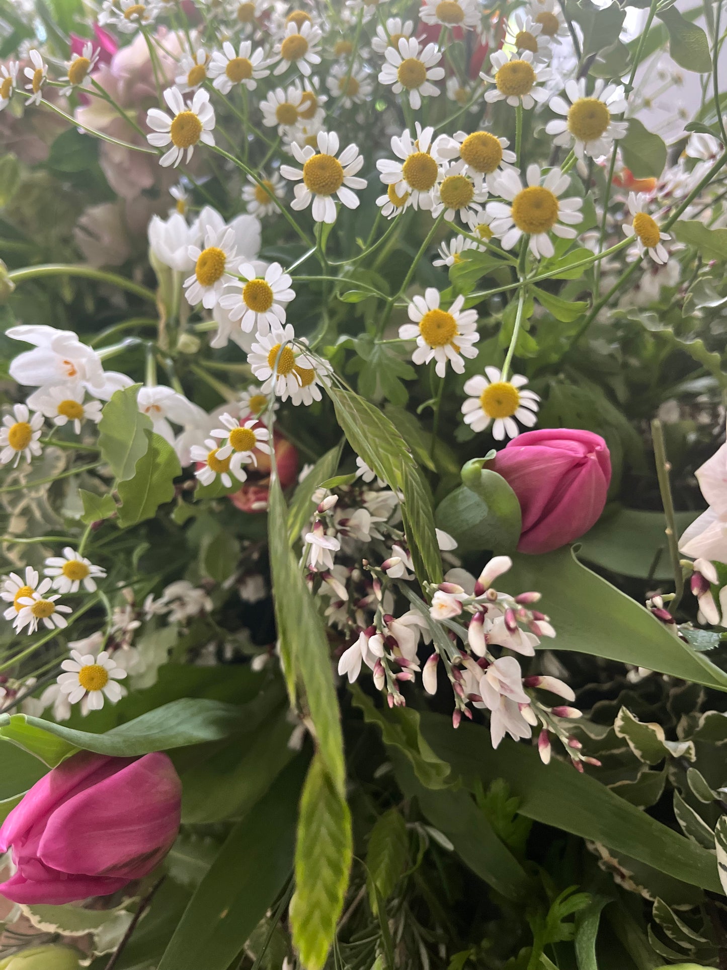 Casket Spray – Garden Funeral Tribute Flowers (Tulips & Hellebores)