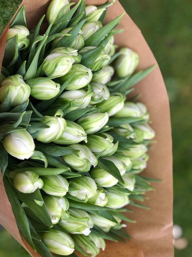 SEASONAL FLOWER DELIVERIES image 13