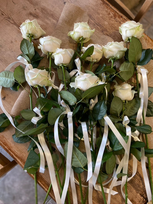 Stems image 0