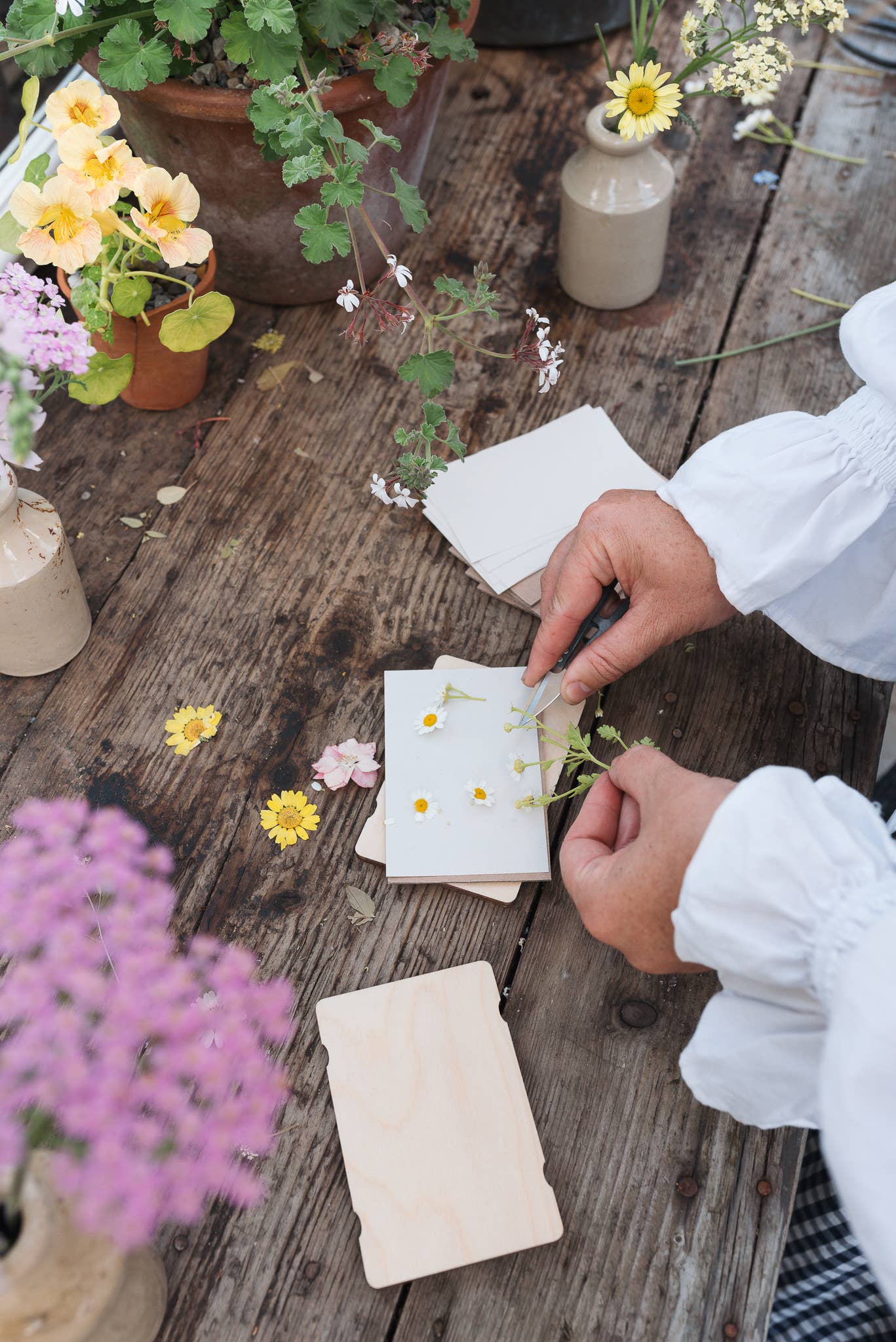 Pocket Flower Press – Forget Me Not