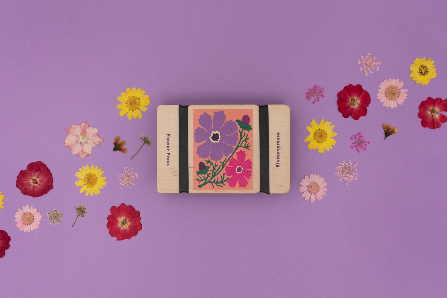 Pocket Flower Press – Cosmos