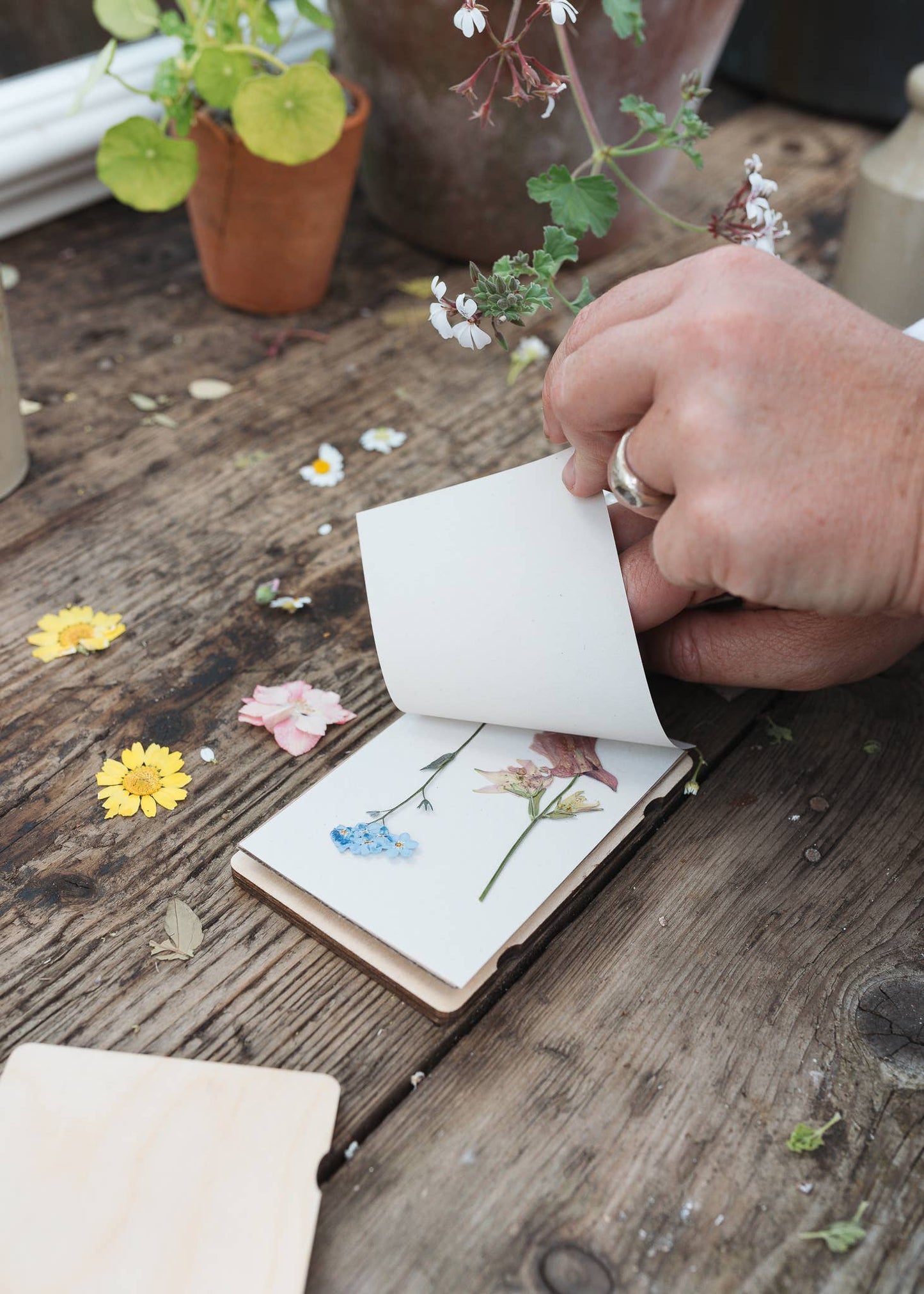 Pocket Flower Press – Forget Me Not