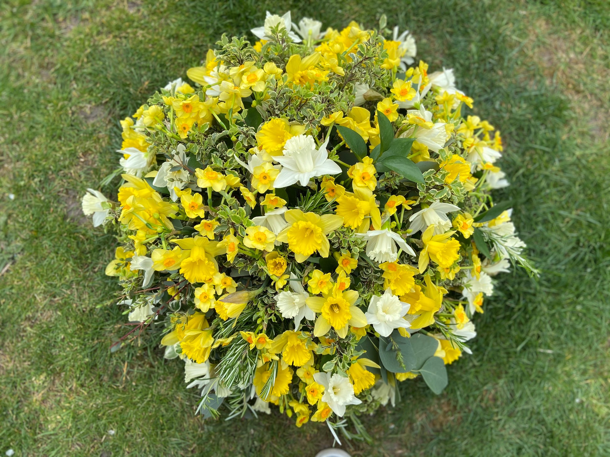 Daffodil Funeral Posy - Fresh Flowers Greenwich