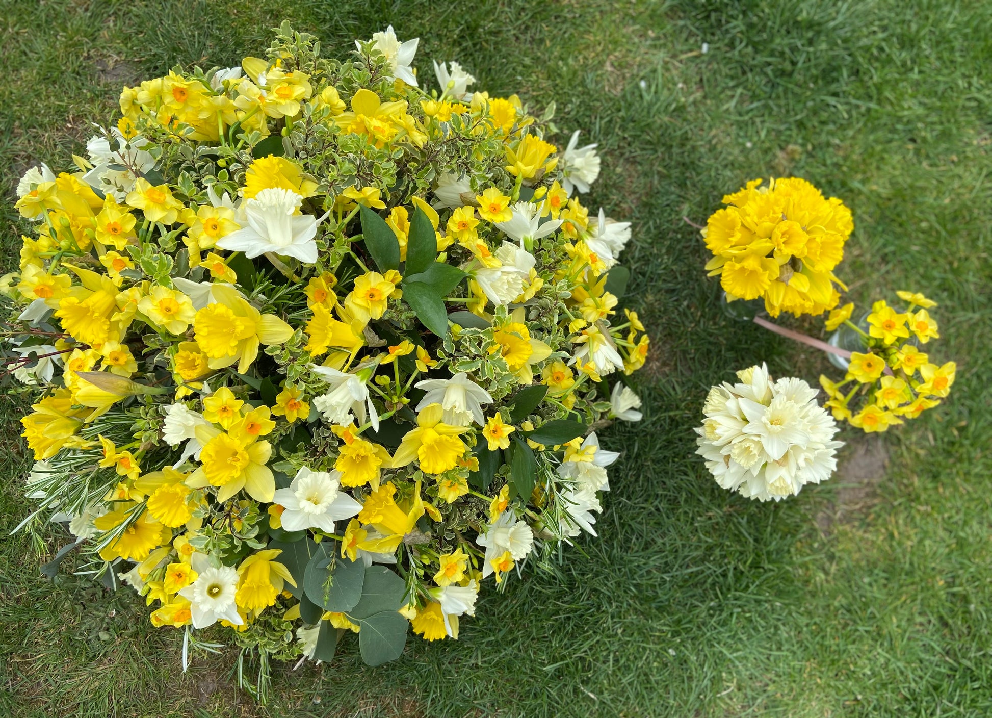 Daffodil Funeral Posy - Fresh Flowers Greenwich