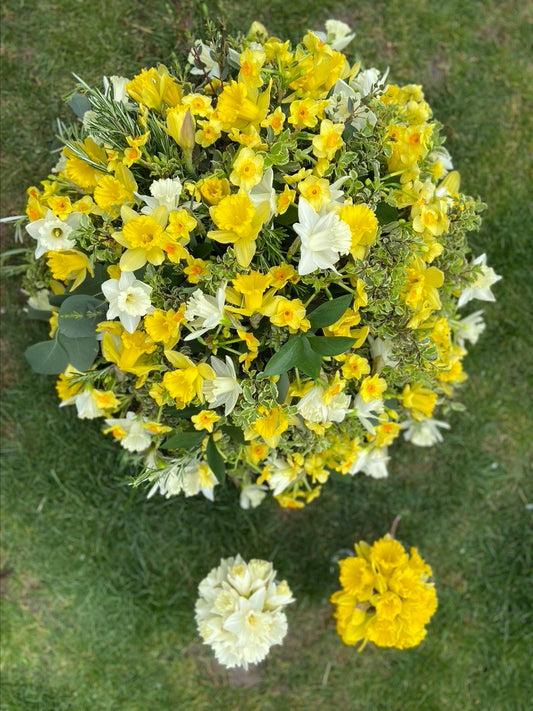 Daffodil Funeral Posy - Fresh Flowers Greenwich