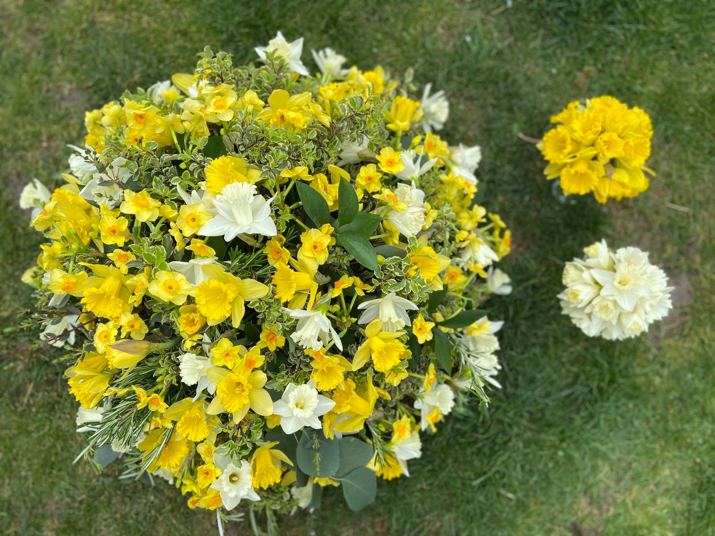 Daffodil Funeral Posy - Fresh Flowers Greenwich