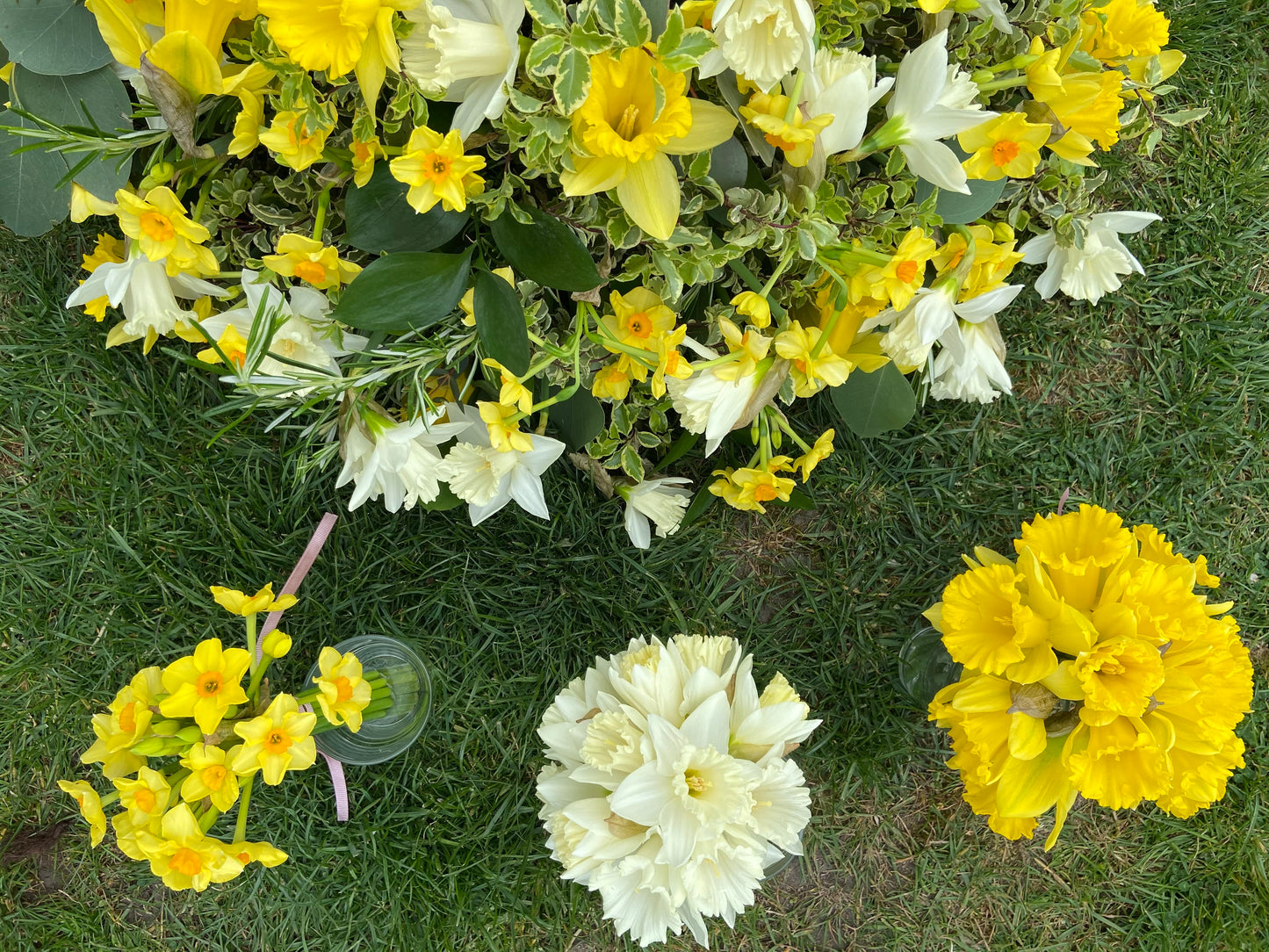 Daffodil Funeral Posy - Fresh Flowers Greenwich