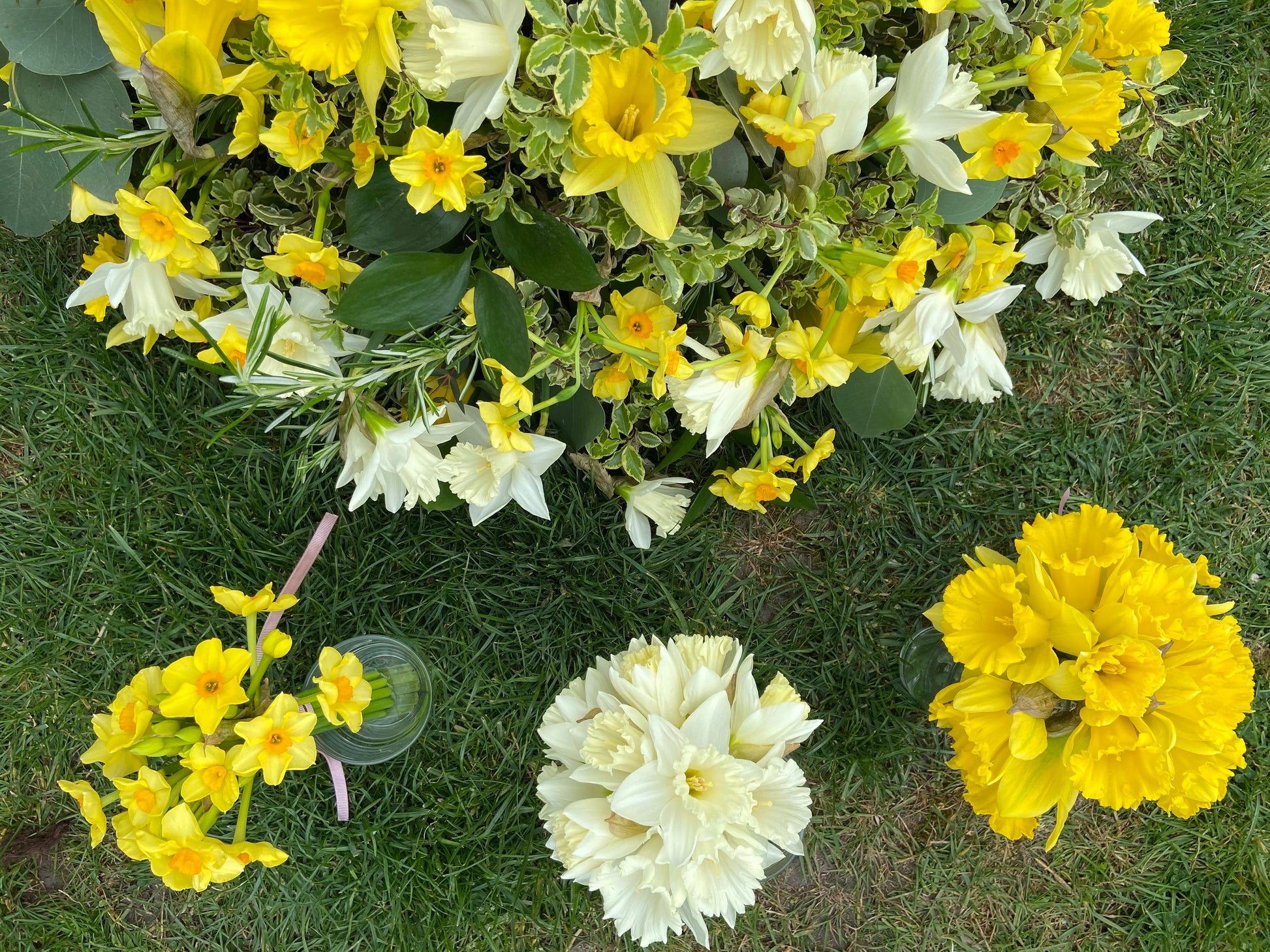 Daffodil Funeral Posy - Fresh Flowers Greenwich