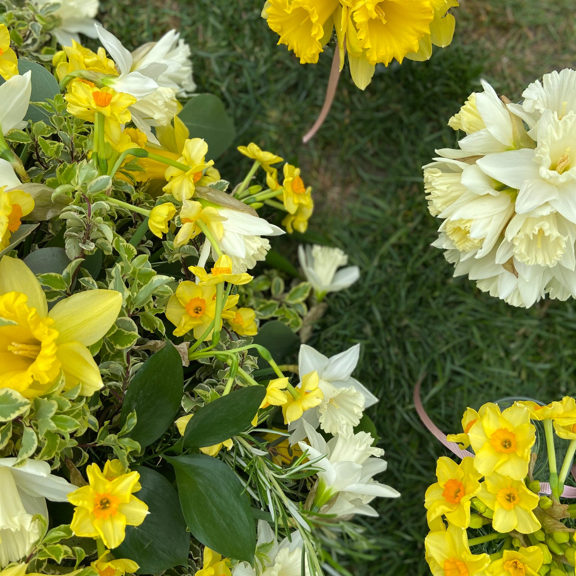 Daffodil Funeral Posy - Fresh Flowers Greenwich