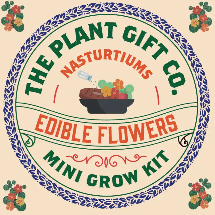 Edible Flowers Eco Grow Kit