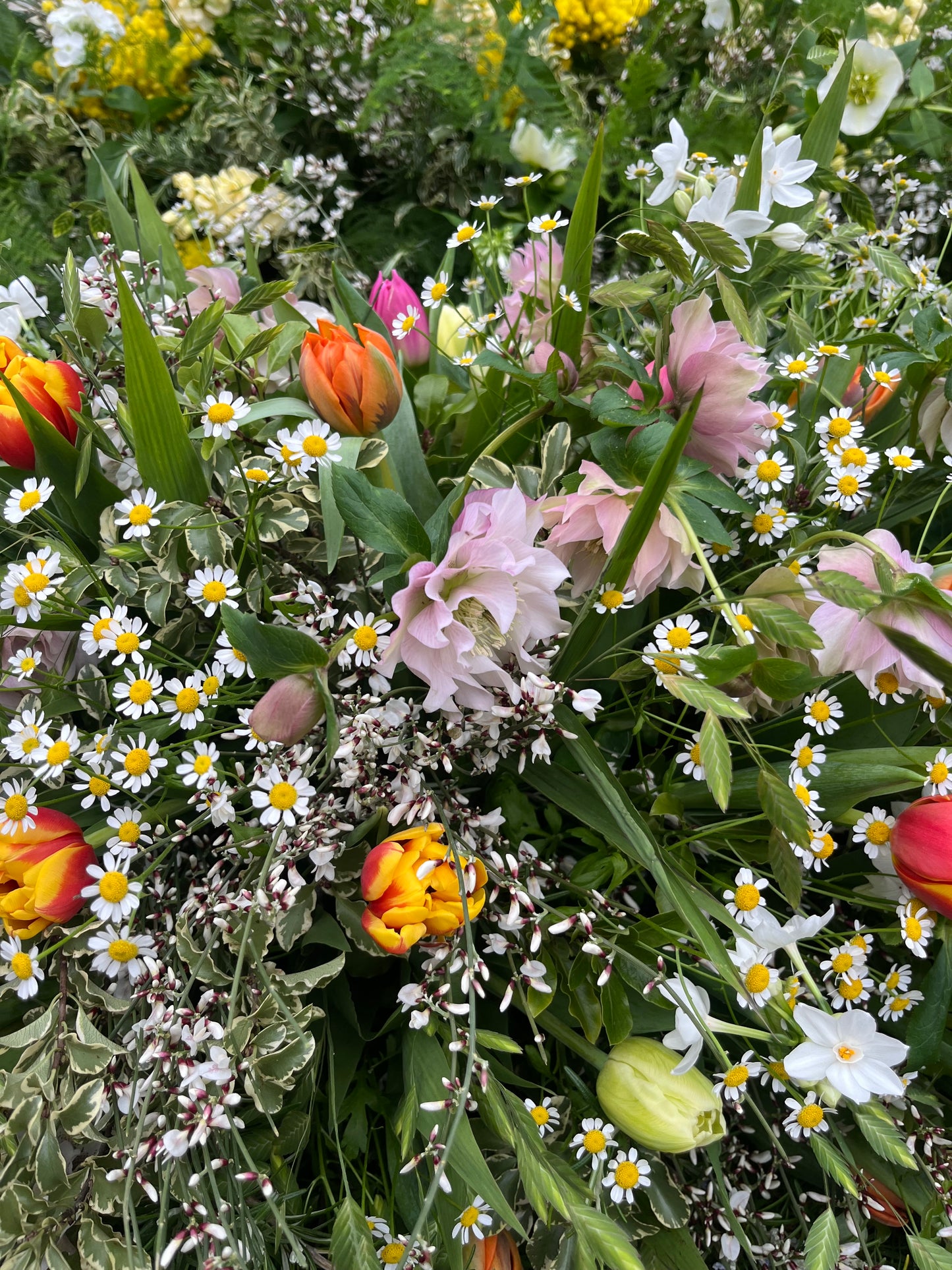 Casket Spray – Garden Funeral Tribute Flowers (Tulips & Hellebores)