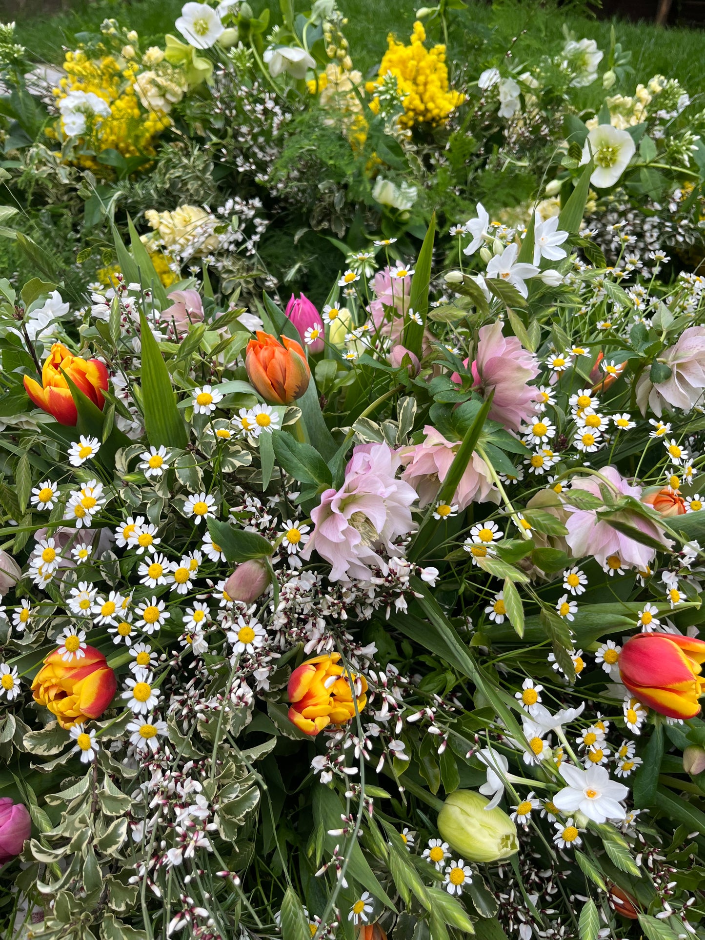Casket Spray – Garden Funeral Tribute Flowers (Tulips & Hellebores)