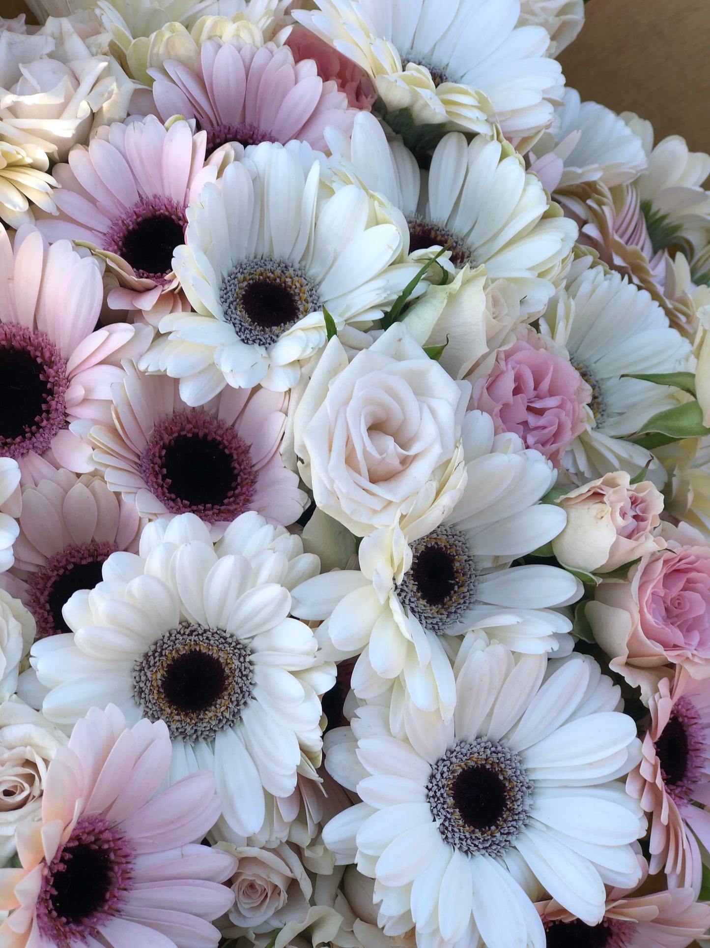 Blush Roses & Gerbera Hand-Tied Bouquet