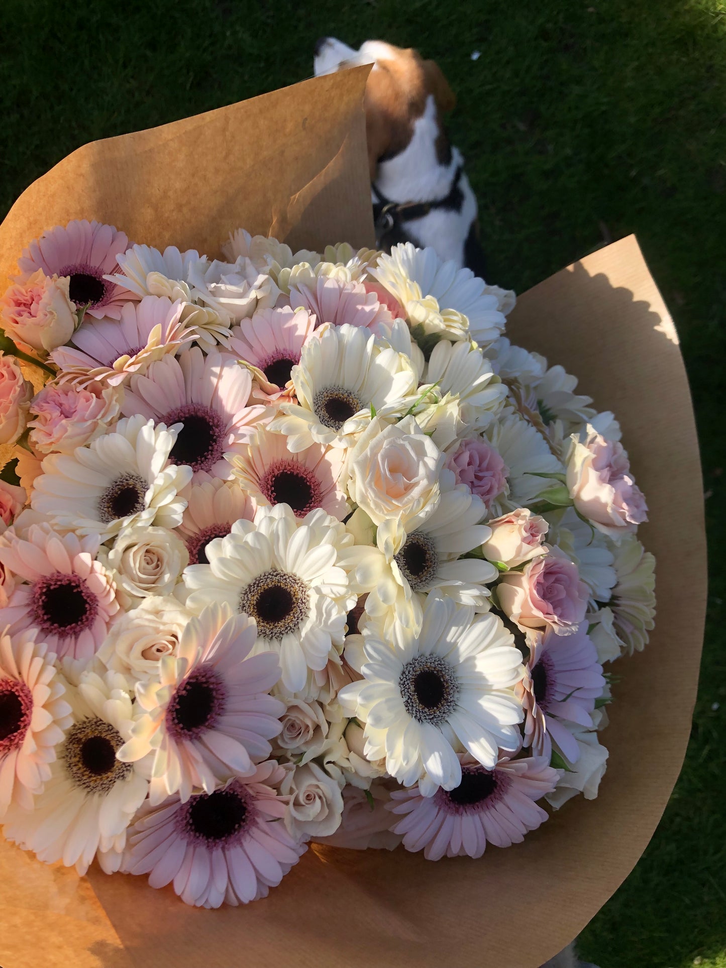 Blush Roses & Gerbera Hand-Tied Bouquet