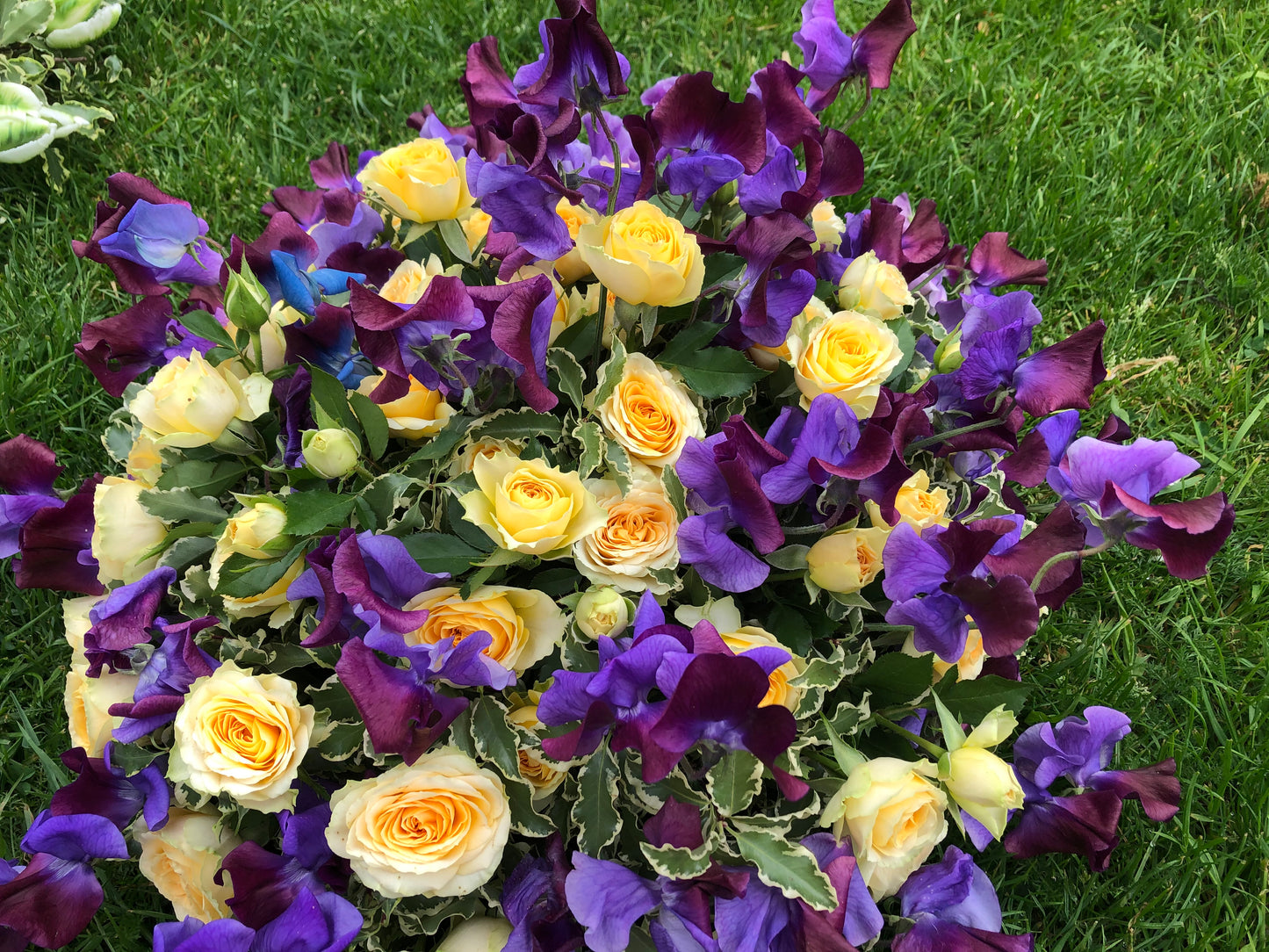 Funeral Posy | Sympathy & Memorial Flowers