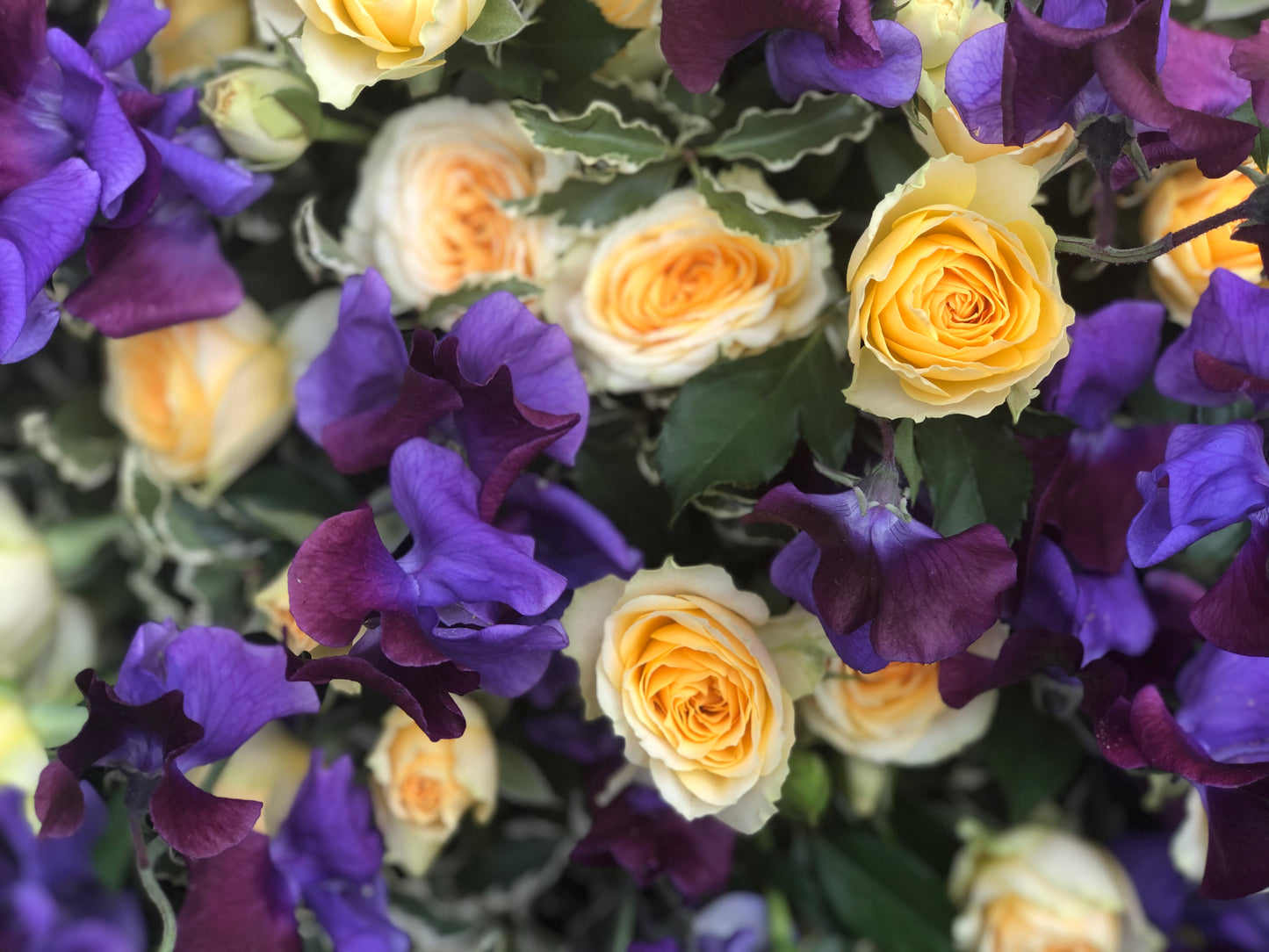 Funeral Posy | Sympathy & Memorial Flowers