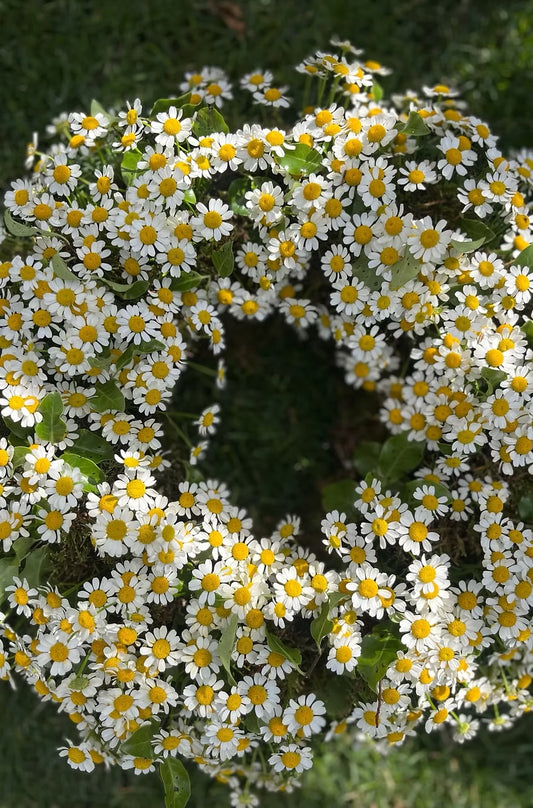 Wreath