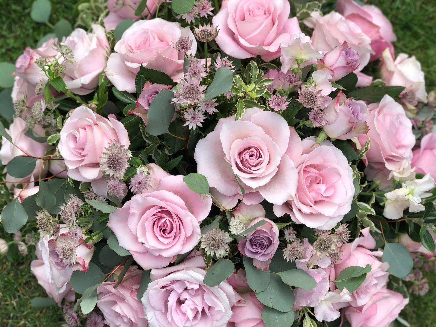 Funeral Posy – Pink | Sympathy & Memorial Flowers (Secret Garden Rose & Astrantia)