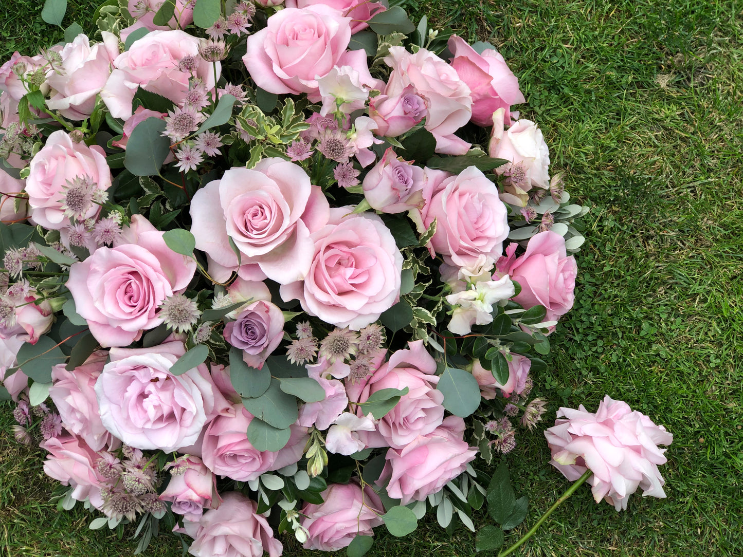 Funeral Posy – Pink | Sympathy & Memorial Flowers (Secret Garden Rose & Astrantia)
