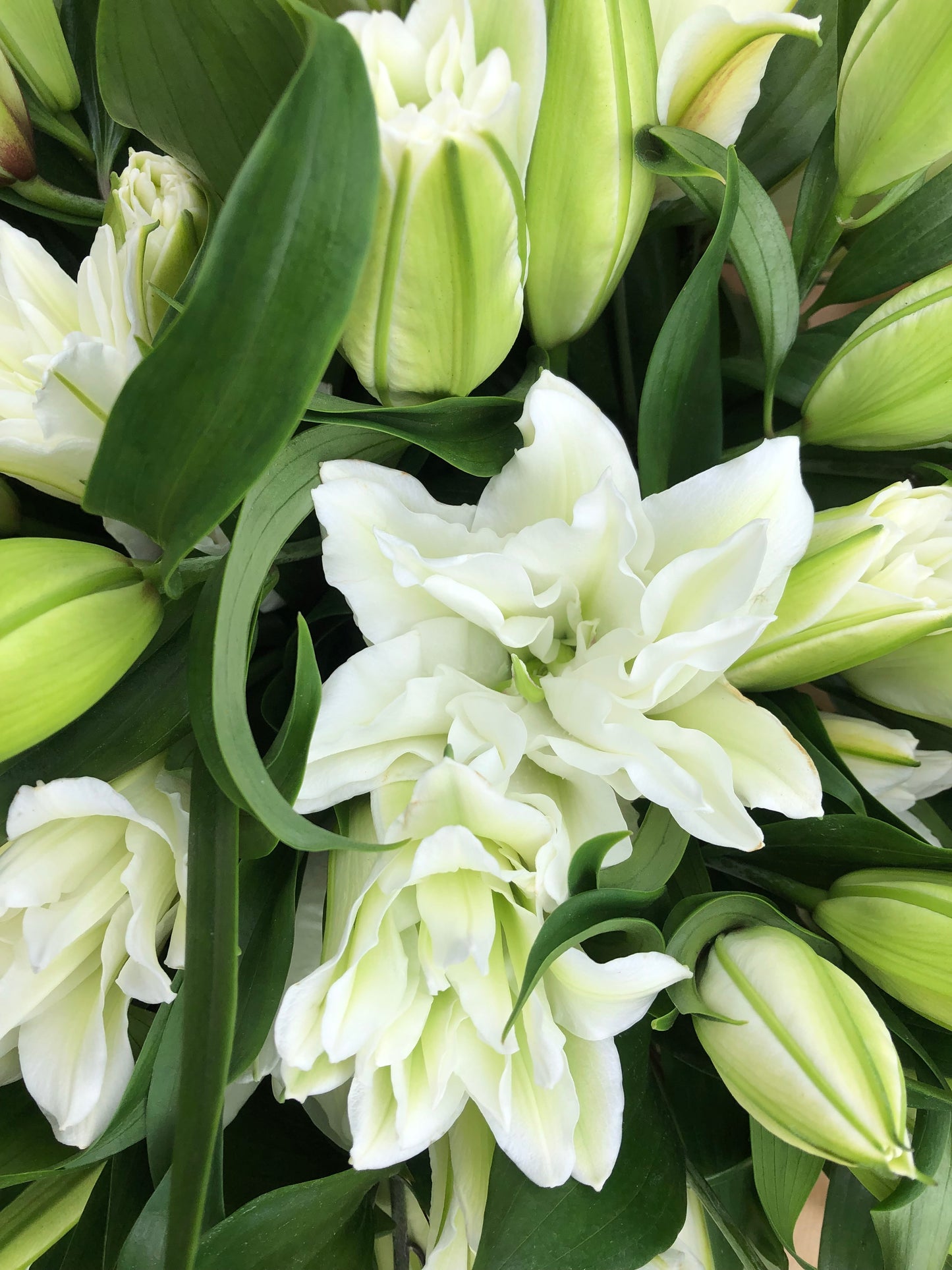 White Lily Hand-Tied Bouquet