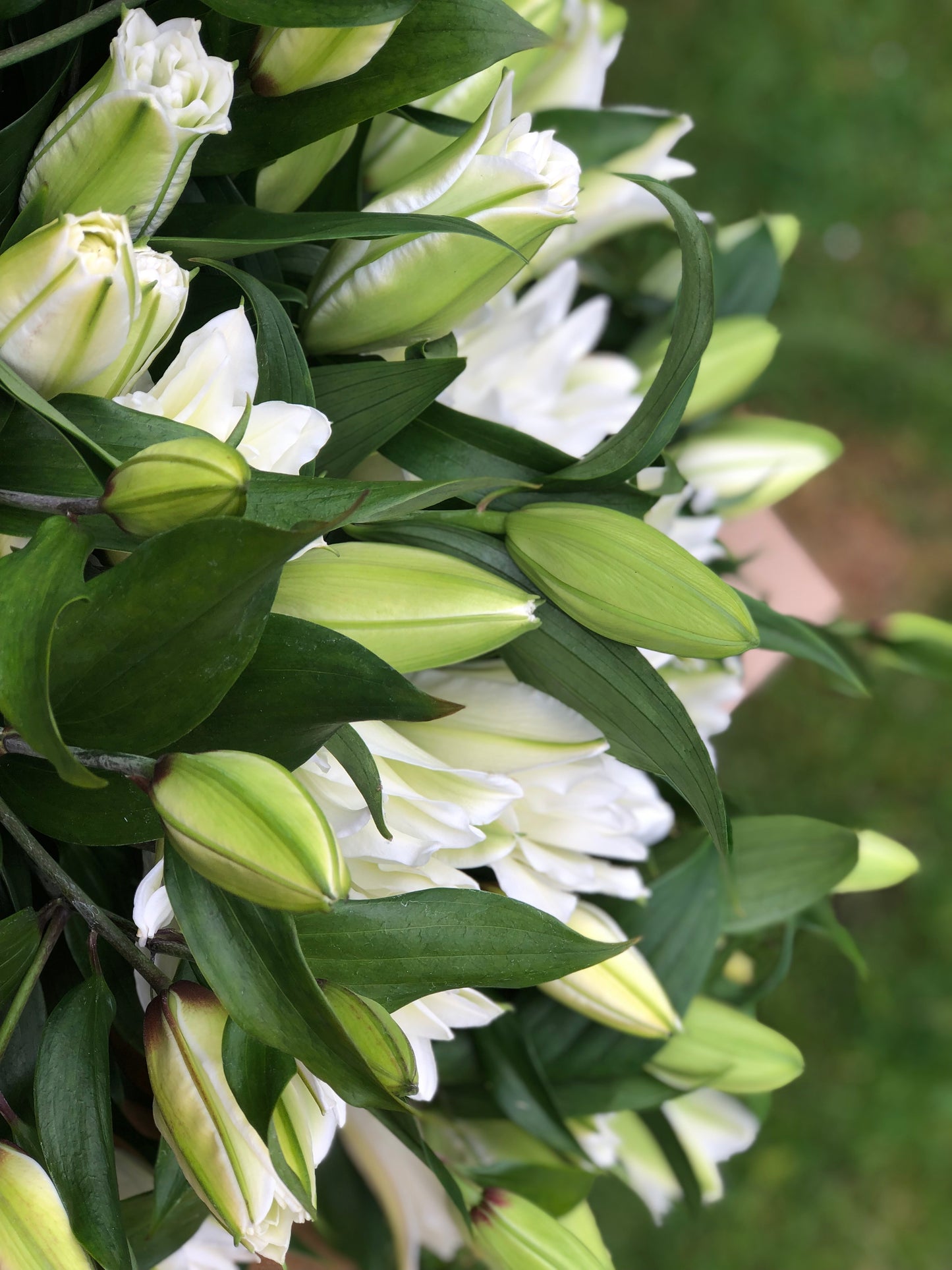 White Lily Hand-Tied Bouquet