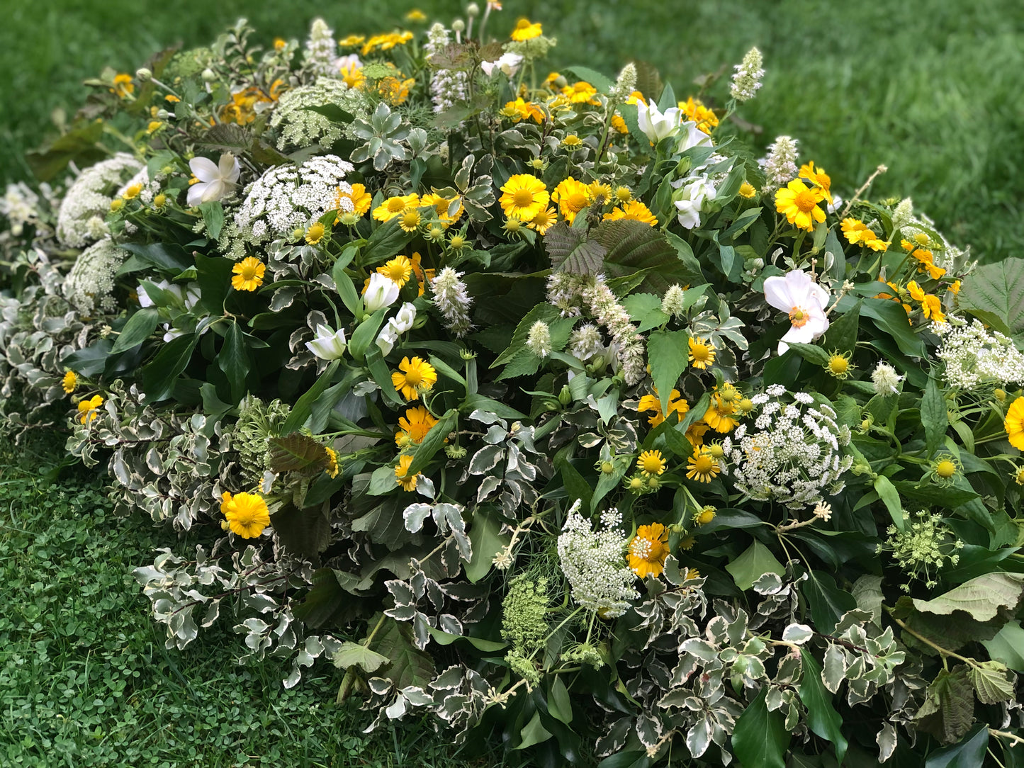 Casket Spray – Meadow Funeral Tribute Flowers (Hellebore, Helenium & Ammi)