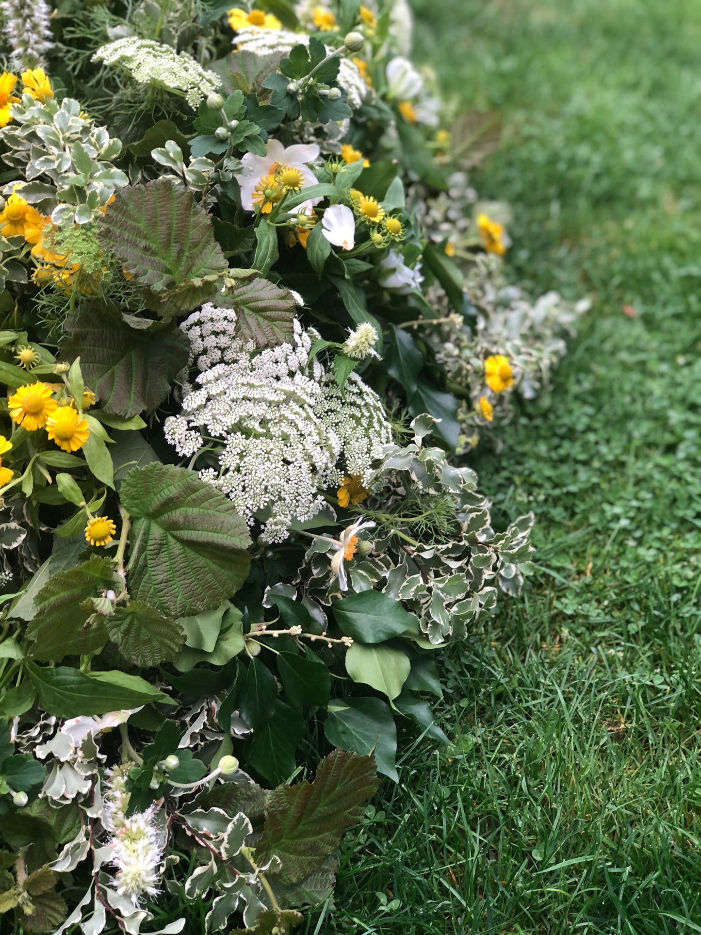 Casket Spray – Meadow Funeral Tribute Flowers (Hellebore, Helenium & Ammi)