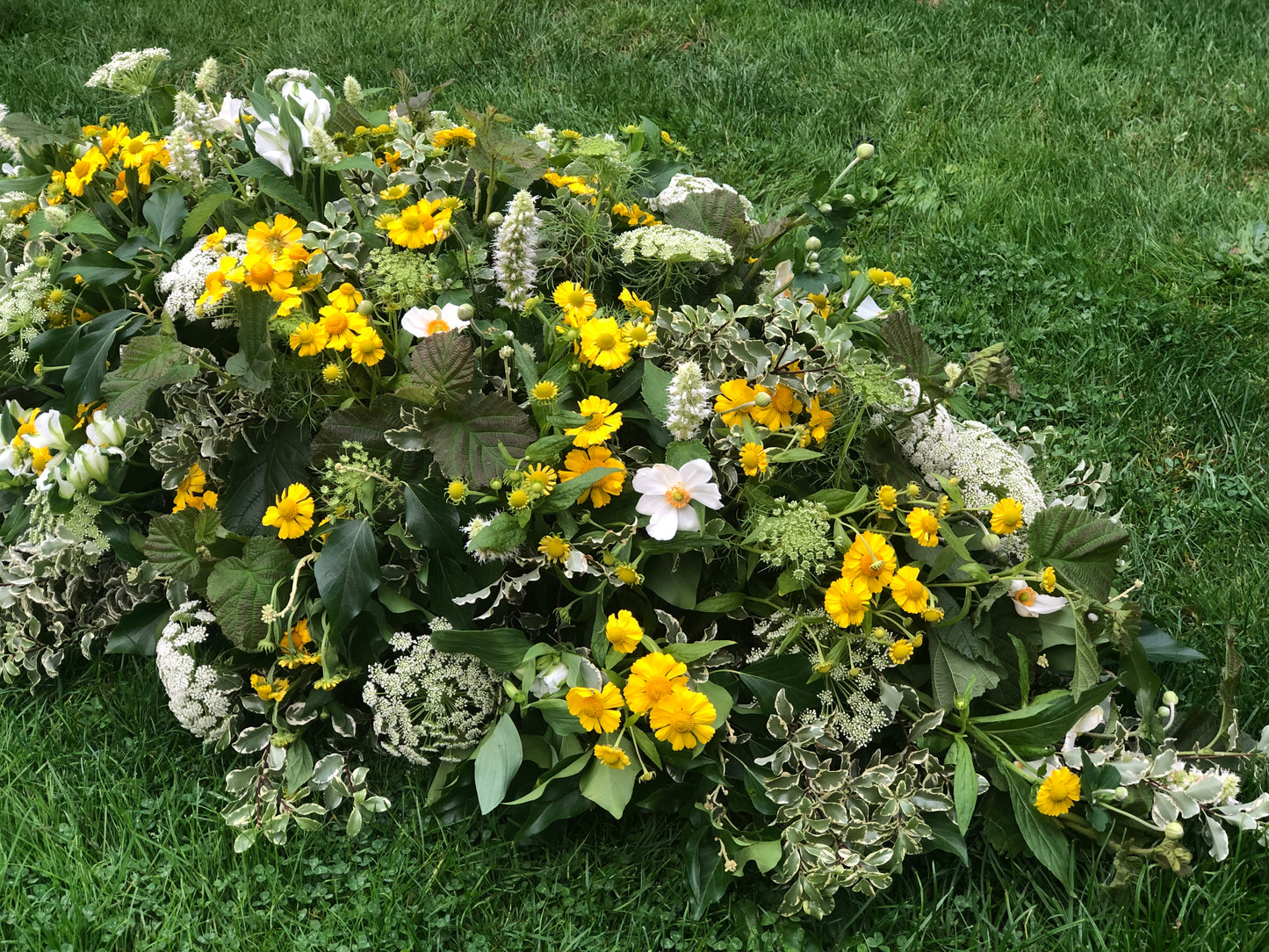 Casket Spray – Meadow Funeral Tribute Flowers (Hellebore, Helenium & Ammi)