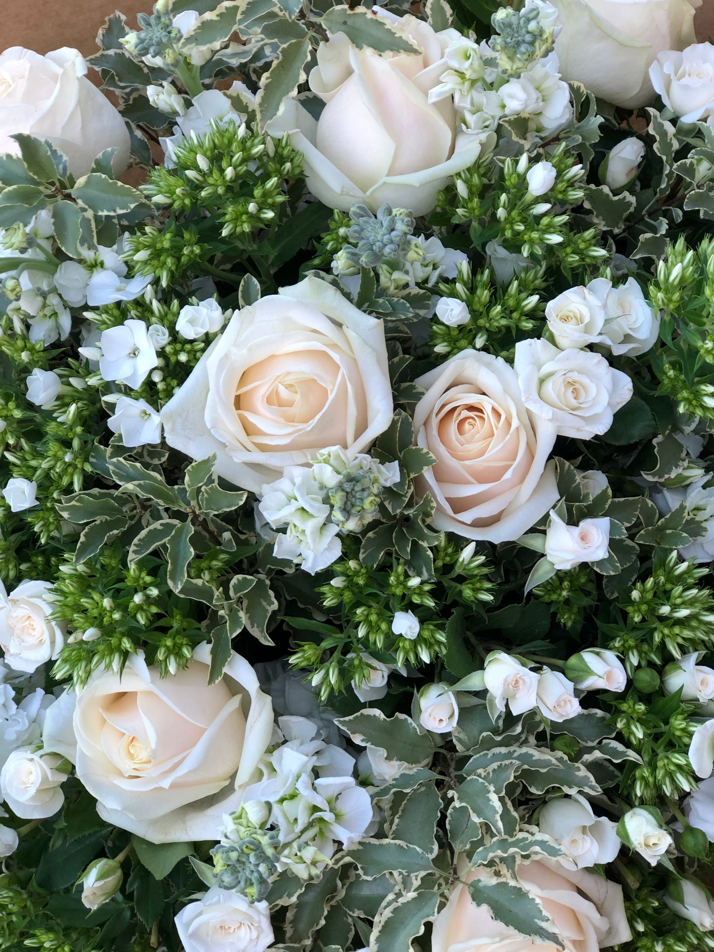 Foliage & White Rose and Phlox Hand-Tied Bouquet