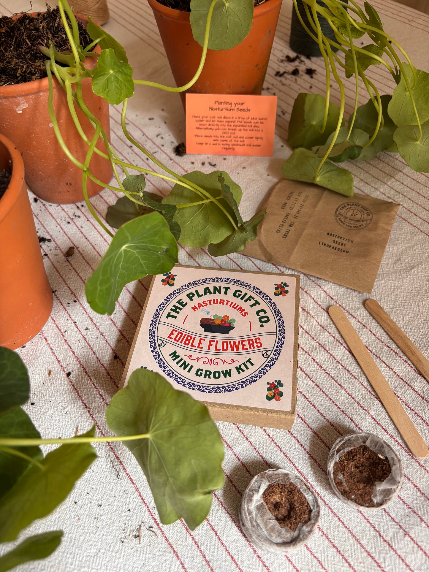 Edible Flowers Eco Grow Kit