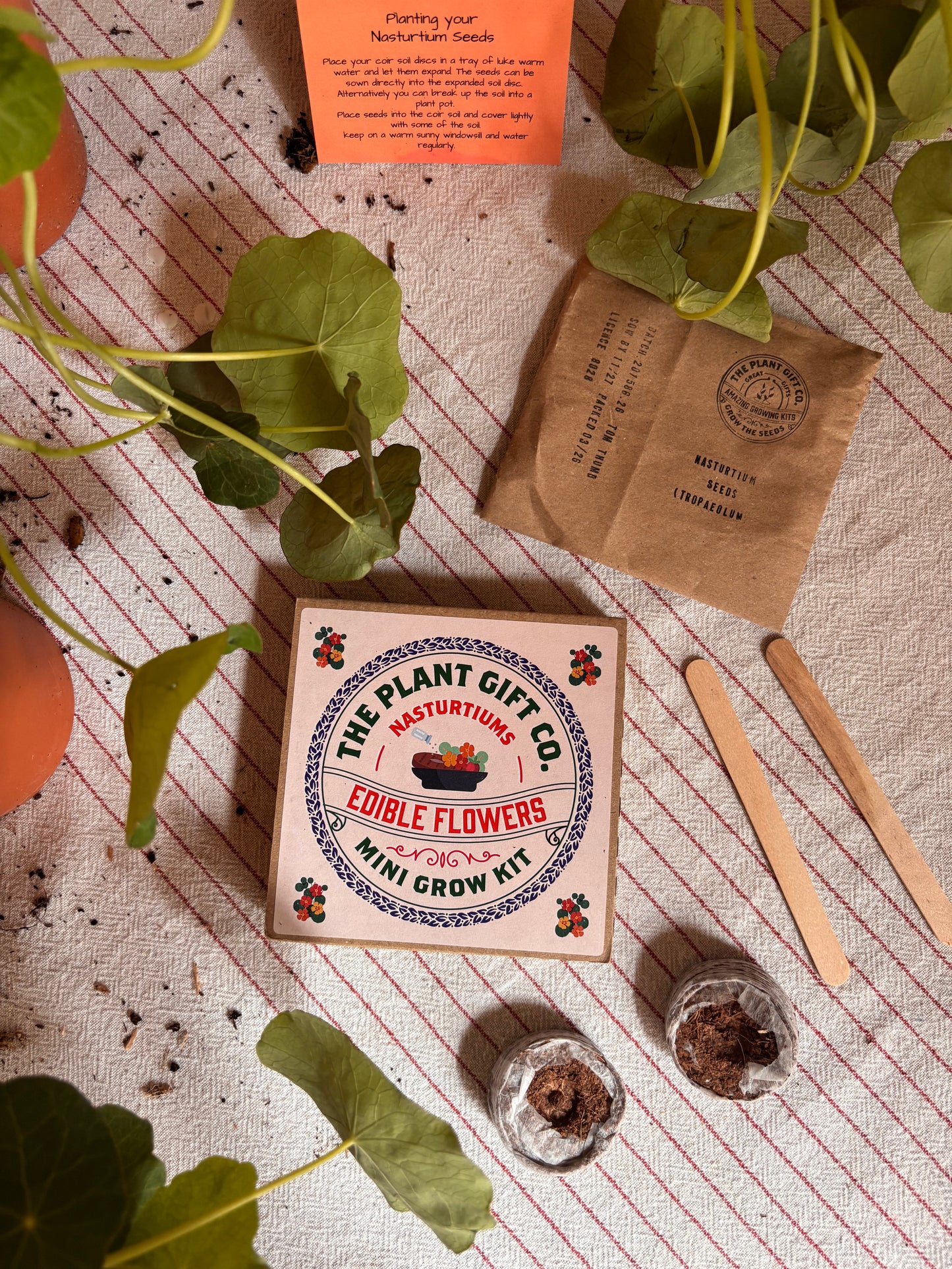 Edible Flowers Eco Grow Kit