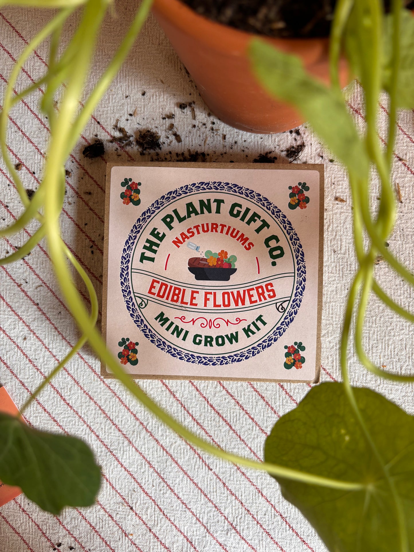Edible Flowers Eco Grow Kit