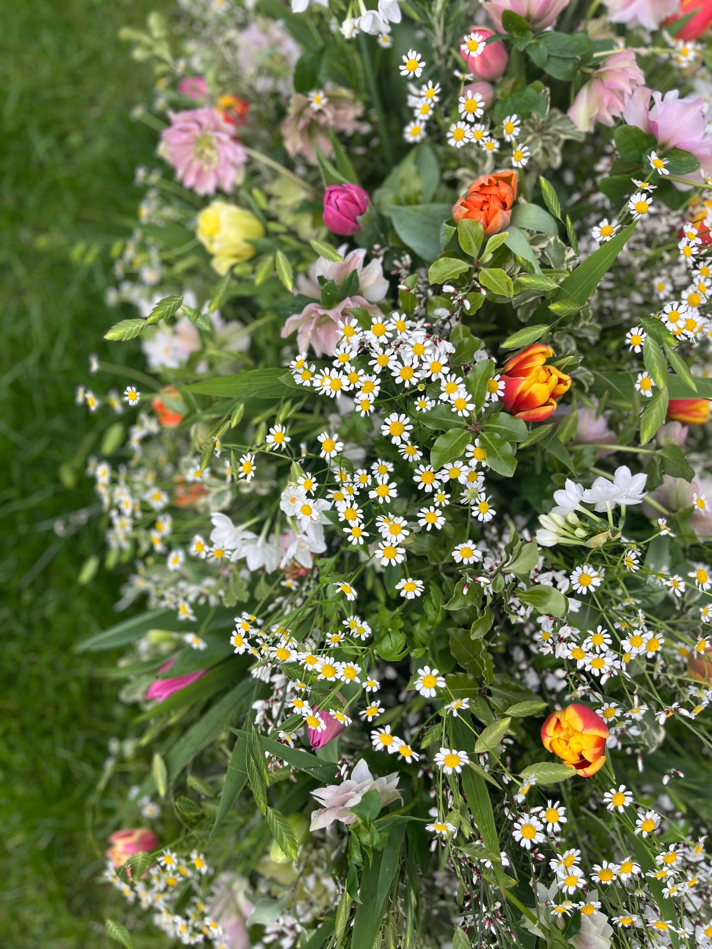 Casket Spray – Garden Funeral Tribute Flowers (Tulips & Hellebores)