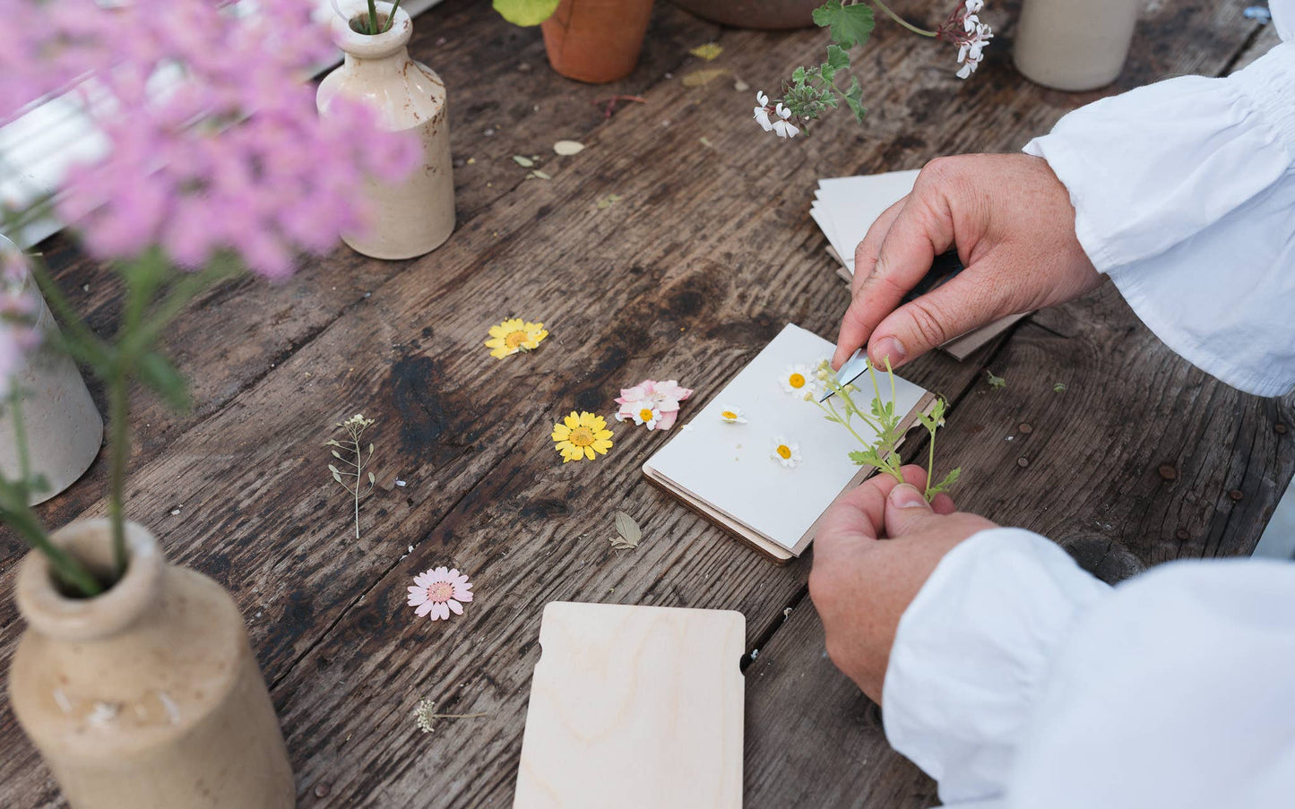 Pocket Flower Press – Dandelion