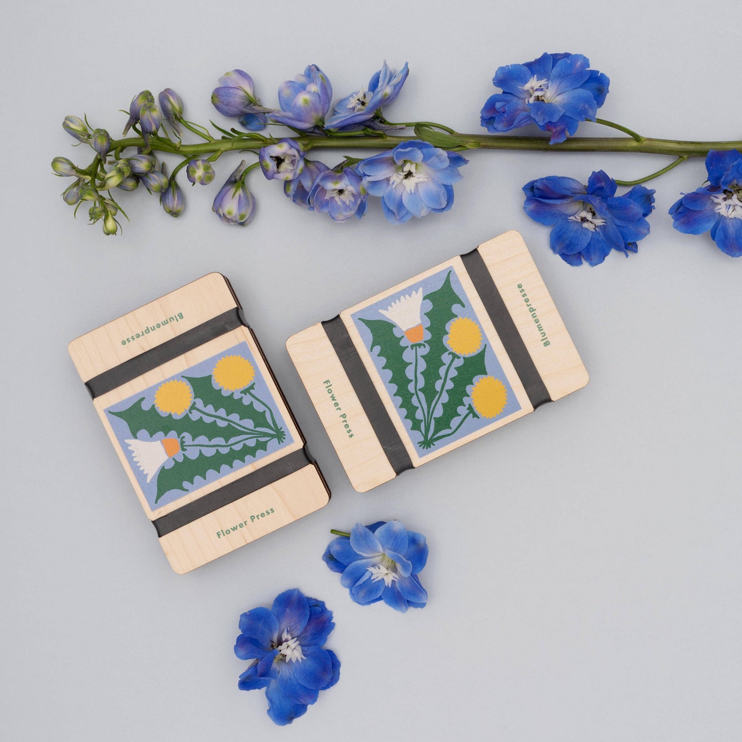 Pocket Flower Press – Dandelion